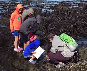 Kids, outdoor learning