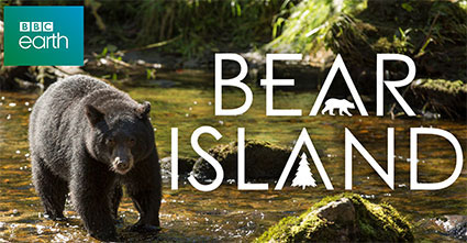 bear-island-vr-experience2
