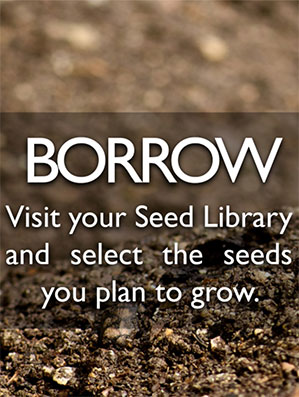 Seed Library Borrow Seed Library Borrow