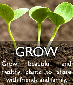 Seed Library Grow Seed Library Grow