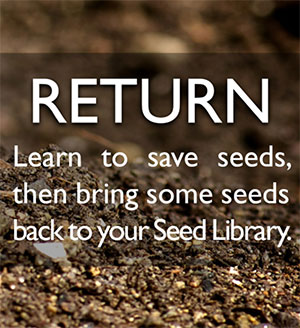 Seed Library Return Seed Library Return