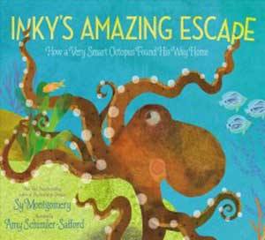 Inky’s Amazing Escape: How a Very Smart Octopus Found His Way Home