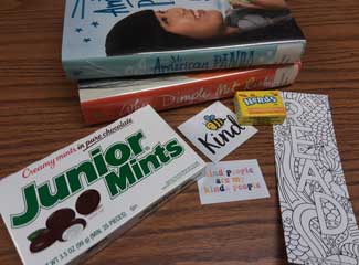 Teen Lit Bag Teen Lit Bag