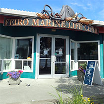Feiro Marine Life Center