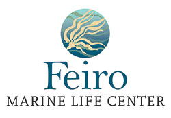 Feiro Marine Life Center