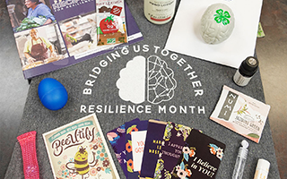 Resilience Month Kits