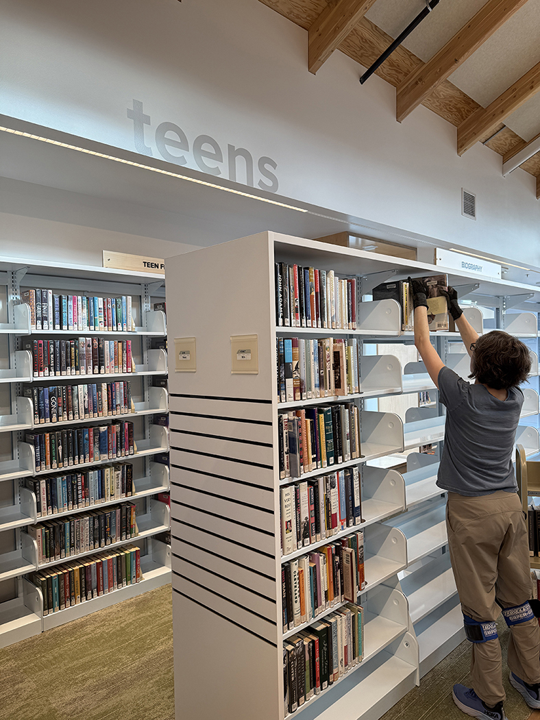 Staff make quick work of filling shelves in the new building.
