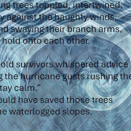 Poem over textile design.